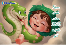 Giải đáp nam sinh năm 2025 mệnh gì? cung gì? hợp màu nào?