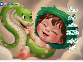 Giải đáp nam sinh năm 2025 mệnh gì? cung gì? hợp màu nào?