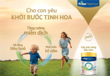 Review sữa Friso Prestige có mấy loại? Đối tượng sử dụng?
