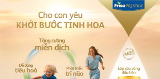 Review sữa Friso Prestige có mấy loại? Đối tượng sử dụng?
