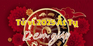 Xem tử vi 2025 của 12 con giáp chi tiết và đầy đủ nhất tử vi 12 con giáp 2025