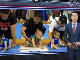 Hàng loạt đơn vị truyền thông đưa tin về sự kiện Festival Mẹ bầu và Em bé 2024