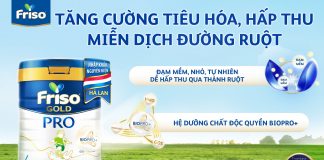 Review chi tiết sữa Friso Gold Pro số 4 có tốt không?