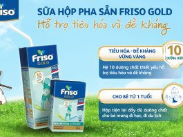 Sữa Friso pha sẵn có mấy loại? Đặc điểm và lợi ích của từng loại