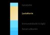 Lactoferrin là gì? Vai trò của Lactoferrin trong tăng cường sức đề kháng cho bé