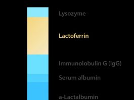 Lactoferrin là gì? Vai trò của Lactoferrin trong tăng cường sức đề kháng cho bé