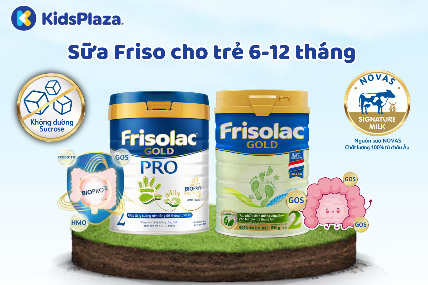 sua-friso-cho-be-6-12-thang-co-may-loai.png