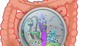 Mách mẹ cách tăng cường hệ miễn dịch đường ruột cho bé tự nhiên nhất