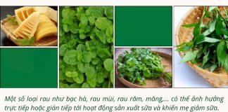 Những thực phẩm có thể ảnh hưởng đến chất lượng sữa mẹ