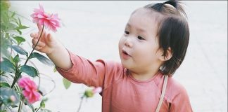 Những tên con gái đẹp lấy cảm hứng từ các loài cây nổi bật