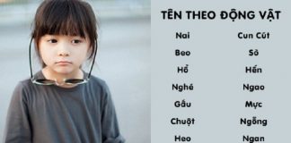 Gợi ý tên con theo các loài động vật đáng yêu và ý nghĩa