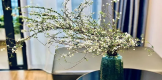 Gợi ý cách cắm hoa tuyết mai nhanh nở, tươi lâu trang trí ngày tết