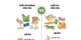 Vai trò của chất xơ trong việc hỗ trợ hệ tiêu hóa và hấp thu dinh dưỡng ở trẻ