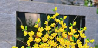 Hướng dẫn 5 cách làm hoa tết bằng kẽm nhung đơn giản tại nhà