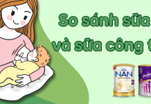 Sữa Mẹ Và Sữa Công Thức: Nên Chọn Gì Cho Bé?
