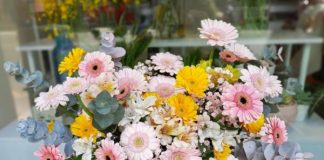 9 cách cắm hoa đồng tiền độc đáo cho mọi không gian