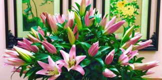 5 cách cắm hoa ly để bàn siêu đẹp, ai cũng làm được cach-cam-hoa-ly