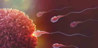 Cách nhận biết dấu hiệu thụ thai thành công sau quan hệ