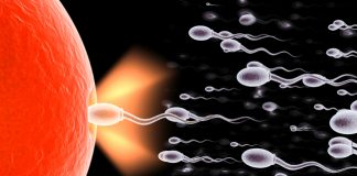 Giải đáp sau bao lâu thì có dấu hiệu mang thai sau-bao-lau-thi-co-dau-hieu-mang-thai