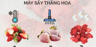 Công nghệ sấy thăng hoa là gì? Cách hoạt động và lợi ích không ngờ say-thang-hoa