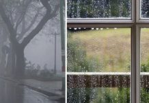 Bí quyết chống nồm ẩm khi xây nhà? Đừng bỏ qua 7 cách chống ẩm hiệu quả này cach-chong-nom -am-khi-xay-nha