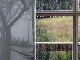 Bí quyết chống nồm ẩm khi xây nhà? Đừng bỏ qua 7 cách chống ẩm hiệu quả này cach-chong-nom -am-khi-xay-nha