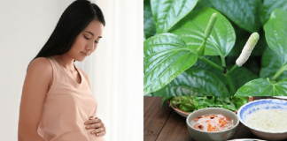 Bà bầu ăn được lá lốt không? Tác dụng và những lưu ý quan trọng ba-bau-co-an-duoc-la-lot-khong