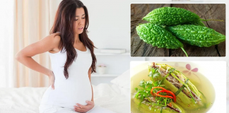 Bà bầu ăn được mướp đắng không? Những rủi ro ít ai ngờ đến ba-bau-co-an-duoc-muop-dang-khong-1