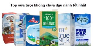 Top sữa tươi không chứa đậu nành tốt nhất