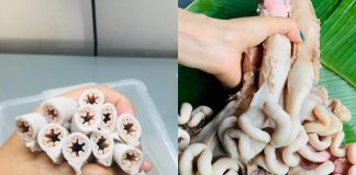 Giải đáp: lòng se điếu có phải dồi trường không?