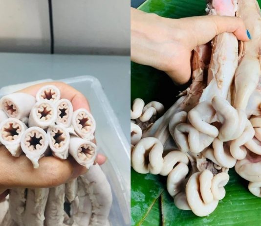 Giải đáp: lòng se điếu có phải dồi trường không?