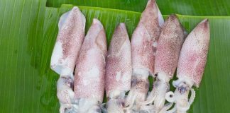 Giải đáp: Mẹ sau sinh ăn mực được không?