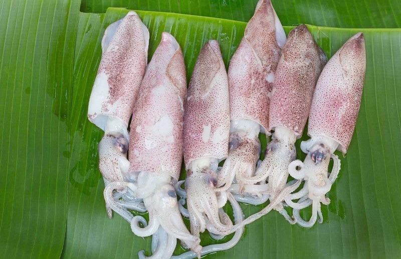 ba-bau-an-muc-duoc-khong
