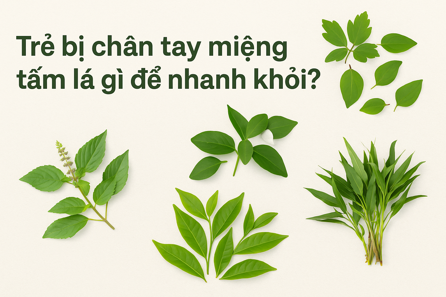 chan-tay-mieng-3