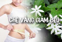 Nên uống chè vằng vào lúc nào là tốt nhất? Có nên uống thường xuyên?