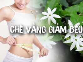 Nên uống chè vằng vào lúc nào là tốt nhất? Có nên uống thường xuyên?