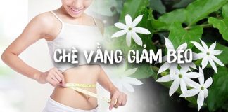 Nên uống chè vằng vào lúc nào là tốt nhất? Có nên uống thường xuyên?