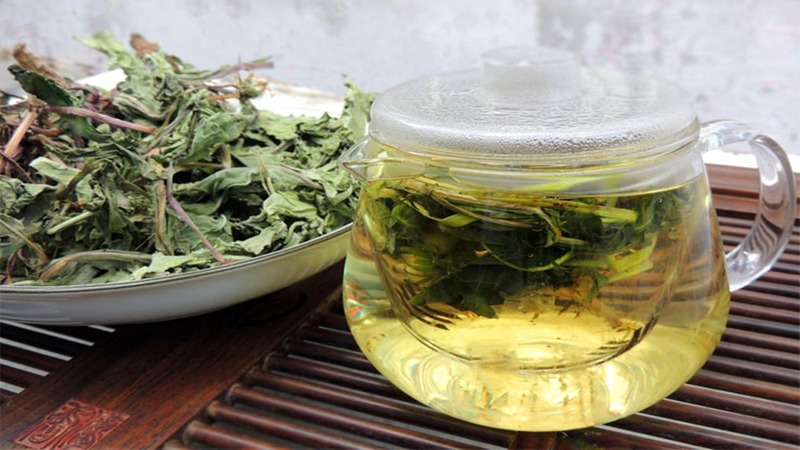 chua-tac-tia-sua-bang-la-bo-cong-anh-1