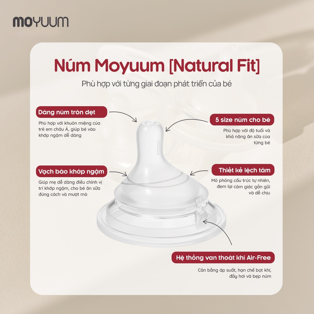num-binh-moyuum-2.jpg