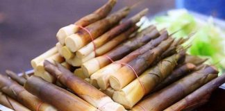 Sau sinh ăn măng được không? Có mất sữa không? sau-sinh-an-mang-duoc-khong-1