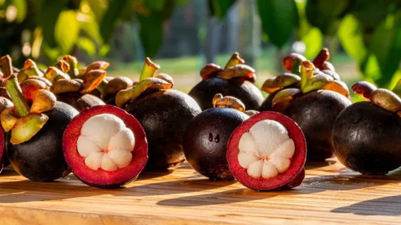 Mẹ bầu tiểu đường thai kỳ ăn măng cụt được không?