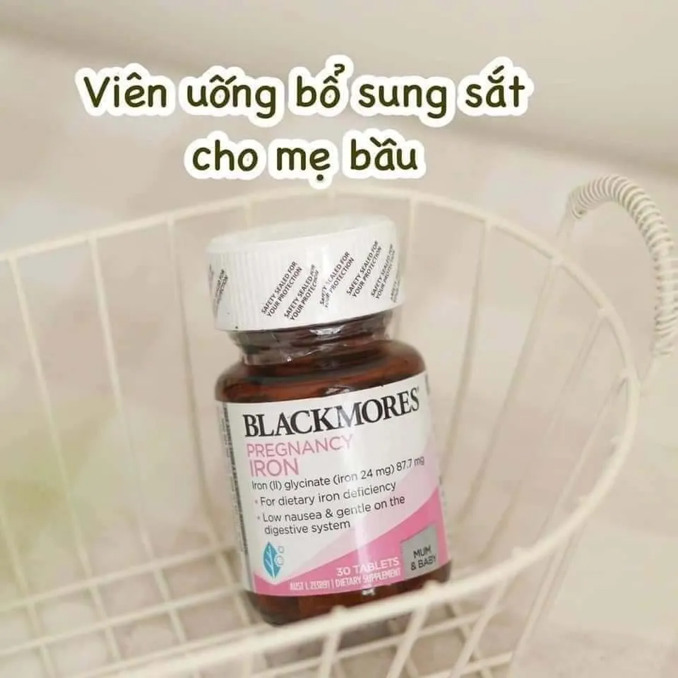 sat-cho-ba-bau-loai-nao-tot-2