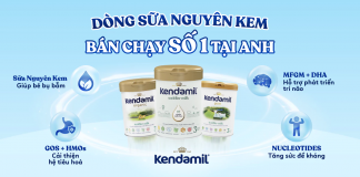 Sữa Kendamil giá bao nhiêu? Cập nhật bảng giá Kendamil mới nhất 2025