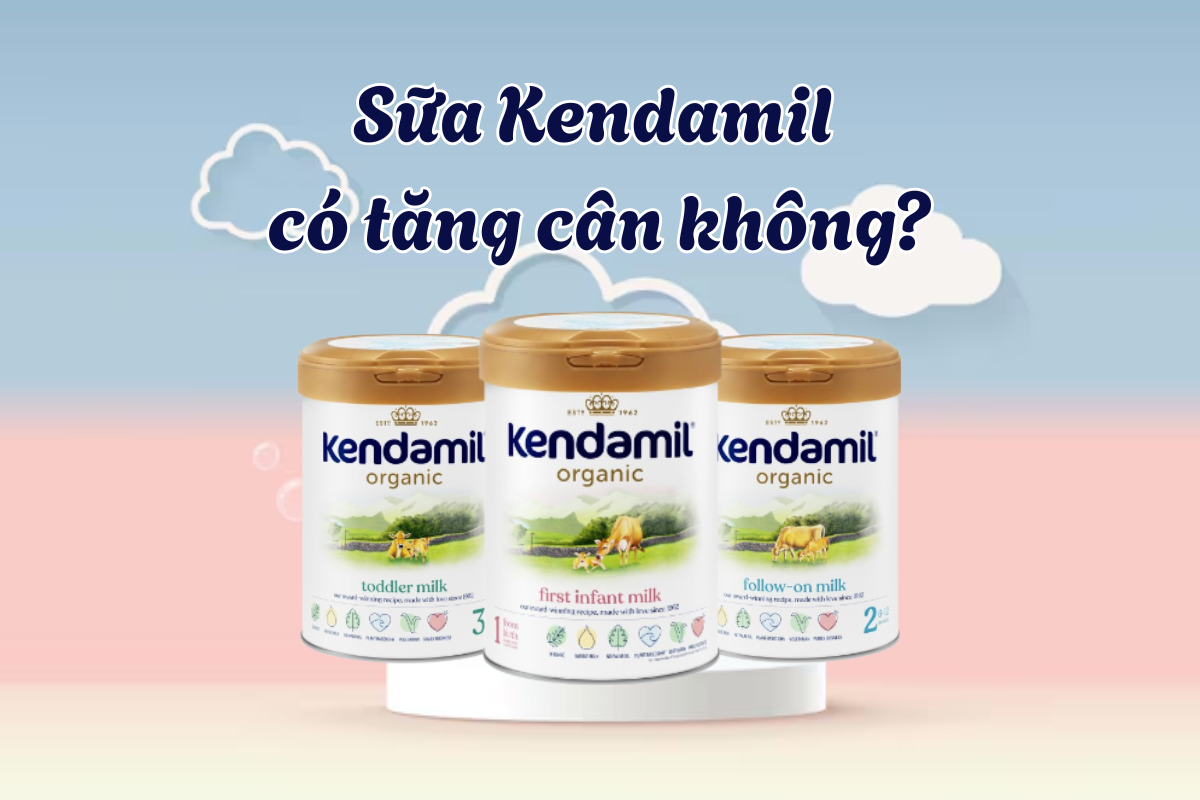 sua-kendamil-6