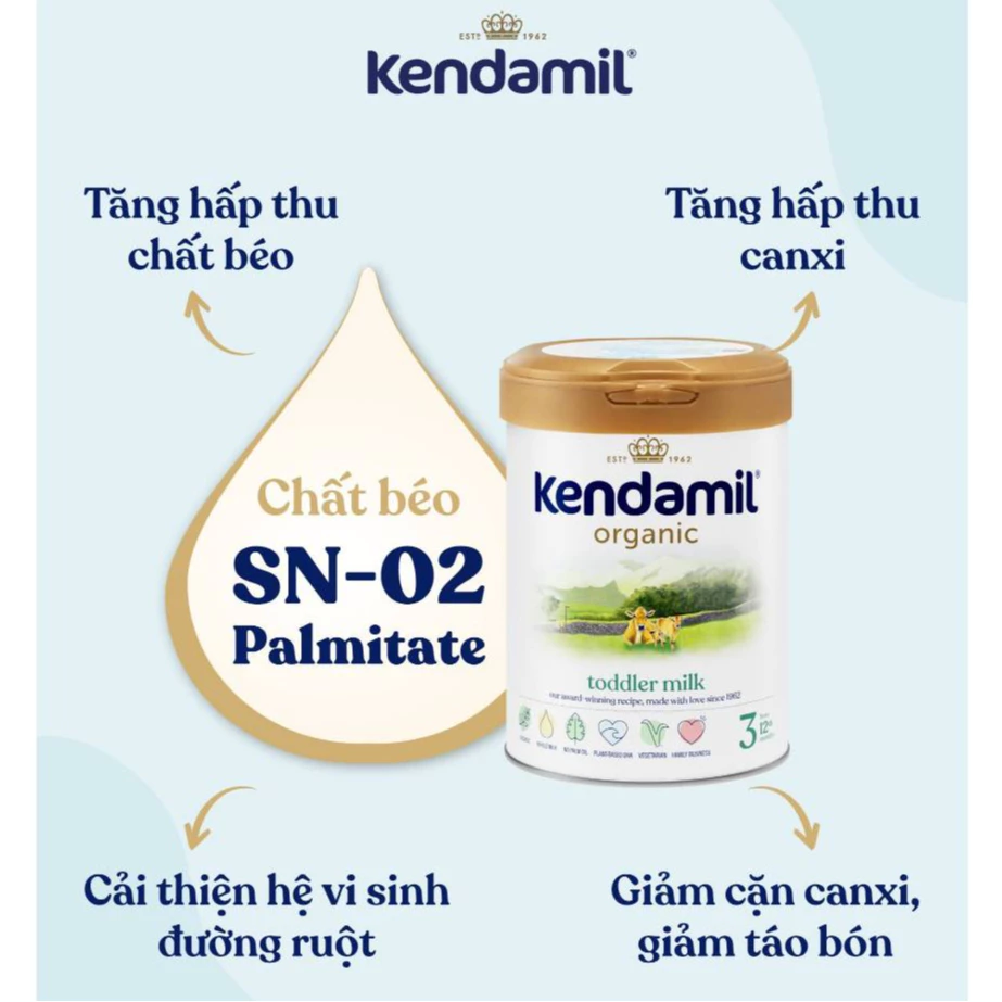 sua-kendamil-9