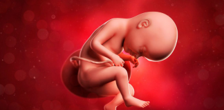 Mẹ bầu bị đa ối có ảnh hưởng gì đến thai nhi không?