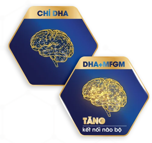 chi_dha.png