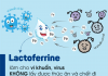 Lactoferrin trong Enfamil Enspire: Bí mật giúp bé khỏe mạnh ngay từ những năm đầu đời