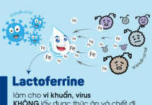Lactoferrin trong Enfamil Enspire: Bí mật giúp bé khỏe mạnh ngay từ những năm đầu đời