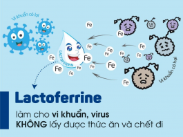 Lactoferrin trong Enfamil Enspire: Bí mật giúp bé khỏe mạnh ngay từ những năm đầu đời